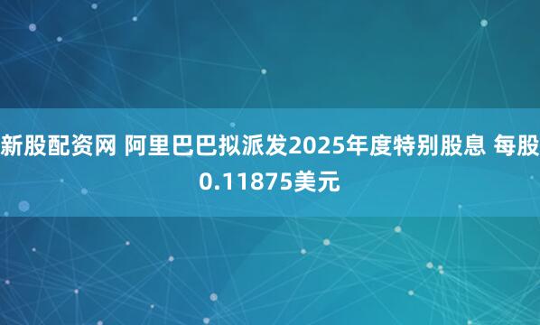 新股配资网 阿里巴巴拟派发2025年度特别股息 每股0.11875美元